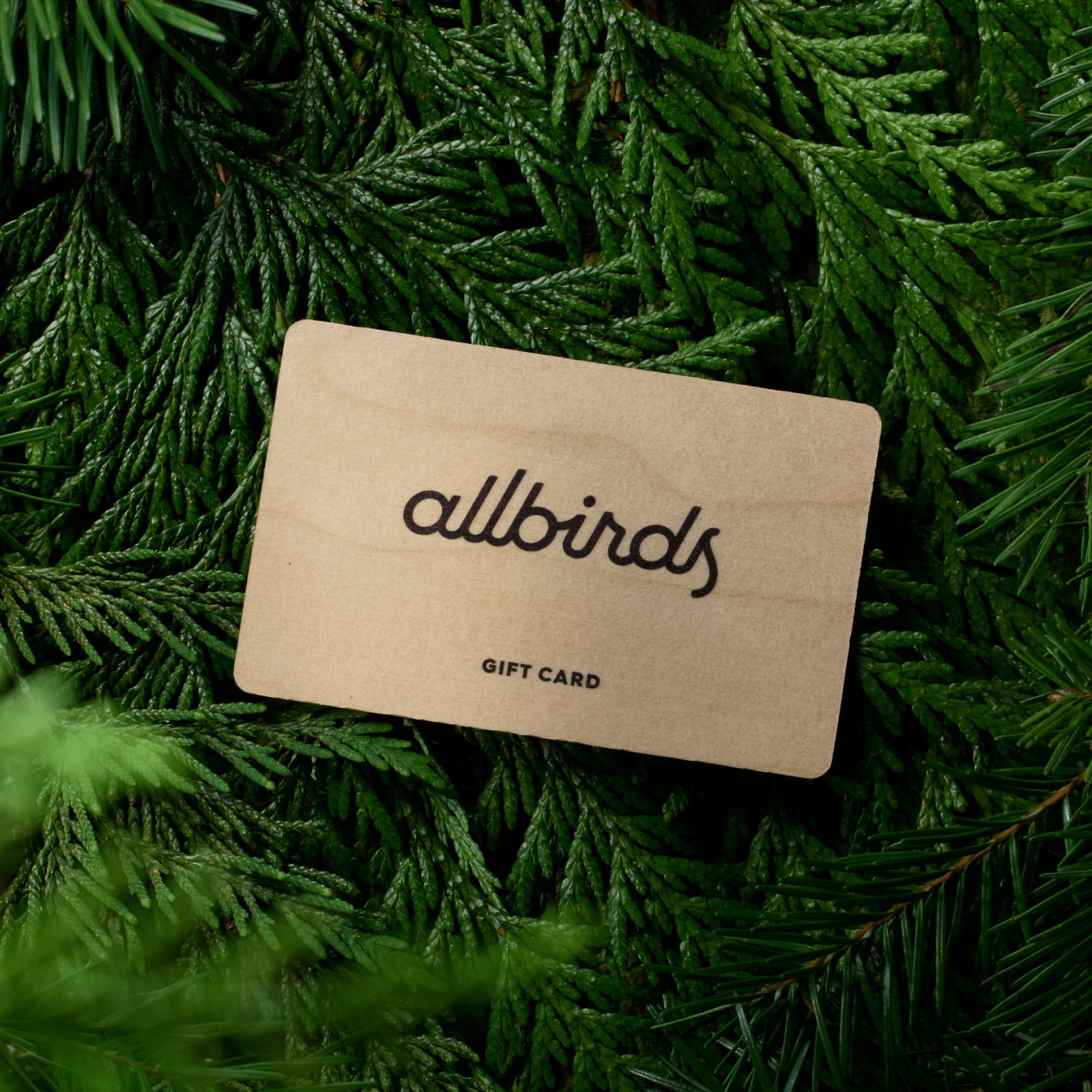 Digital Gift Card - Image 2